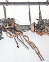 Glastonbury artist's 'unnatural history museum' to open25