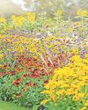 How to plant up a rainbow How to plant up a rainbow48