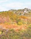 Celebrating special places in Cornwall's national story30