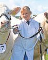 Show enjoys sunny skies on second day2
