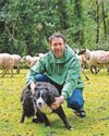 Dog reported - for rounding up sheep Dog reported - for rounding up sheep2