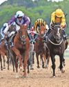 Western Morning News (Saturday)