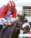 ORANDI'S LINCOLN DOUBLE BID ORANDI'S LINCOLN DOUBLE BID