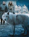 Biotech firm brings beastly Game of Thrones species back Biotech firm brings beastly Game of Thrones species back
