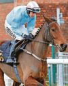 MR INCREDIBLE GETS GREEN LIGHT FOR AYR MR INCREDIBLE GETS GREEN LIGHT FOR AYR