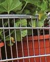 Garden centre thief's plot was soiled by trail of compost Garden centre thief's plot was soiled by trail of compost