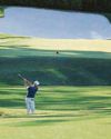 RORY'S HOLEY GRAIL RORY'S HOLEY GRAIL