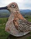 Man walks as a curlew for the birds Man walks as a curlew for the birds