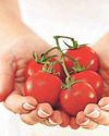 Anytime healthy foods you can eat to heart's desire Anytime healthy foods you can eat to heart's desire