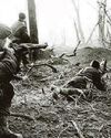 WORLD WAR DON