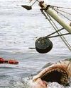 Jaws was really somefin49