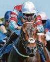 WILLIAMS' STAR TO BREEZE HOME83