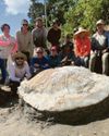 Massive fossil find is turtle-y awesome37