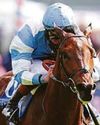 Pride in Curragh classic47