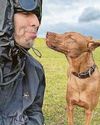 Screen stint for rescue dog Buttons10
