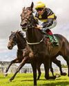 Naas win is a Bonus71