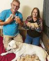 From doggy daycare to busy puppy creche64