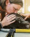 SURVEY SHOWS REAL IMPACT OF PET LOSS61