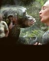 Chimp expert Jane dies at 918
