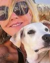 ‘Ferrari’ jungle dog races home to UK55