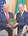 Irish Daily Mirror