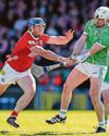 Irish Daily Mirror