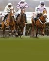 HAGGAS EYEING DERBY JUBILEE82