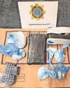 Man held as gardai seize €120k cocaine10
