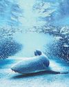 New Blue Planet is recorded New Blue Planet is recorded19