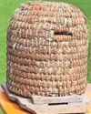 A look at old Ireland's remarkable Bechbretha laws27