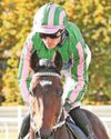 Irish Daily Mirror