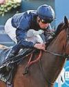 KNIGHT CAN SEAL ROYAL SUCCESS KNIGHT CAN SEAL ROYAL SUCCESS84