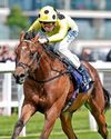 WE THINK MOONFALL IS WELL HANDICAPPED WE THINK MOONFALL IS WELL HANDICAPPED91