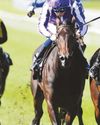 FILLY'S NICE AND PRECISE59
