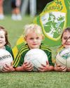 FEVER PITCH Irish Sunday Mirror