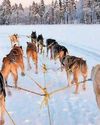 Sub-zero warmth34