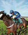 Irish Sunday Mirror