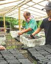 Shangri-La Chiang Mai hosts charity dinner to stop the smoke57