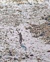 YouTuber nabbed for stunt on remote tribe's isle13