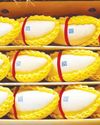 Thailand to add 3 GI products in Japan57