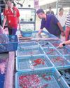 Songkhla's economic outlook 'bright'13