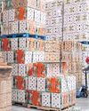 Tariffs of 10% can still wreak havoc Tariffs of 10% can still wreak havoc