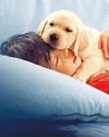 Pets is the rare documentary for children, about children Pets is the rare documentary for children, about children72
