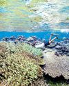 Earth needs real action Earth needs real action