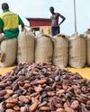 Top cocoa growers still struggle with supply Top cocoa growers still struggle with supply