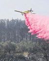 Fires 'could reach Jerusalem'