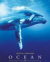 New Attenborough film showcases destruction, hope in planet's oceans New Attenborough film showcases destruction, hope in planet's oceans