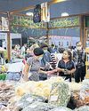 State urged to support local herb industry State urged to support local herb industry