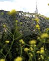 Hollywood studios, unions urge Trump to offer tax breaks
