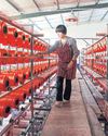 China's factory output resists tariff impact, retail sales fall short61